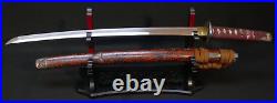 Japanese Edo Wakizashi Sword Signed Hishuju Nobuyoshi Full Temper Shogun