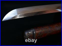 Japanese Edo Wakizashi Sword Signed Hishuju Nobuyoshi Full Temper Shogun