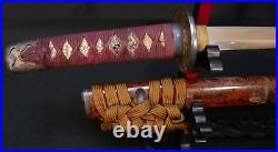 Japanese Edo Wakizashi Sword Signed Hishuju Nobuyoshi Full Temper Shogun